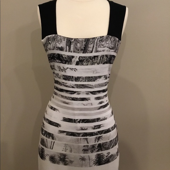 Michael Tyler Collection - Picture 6 of 16